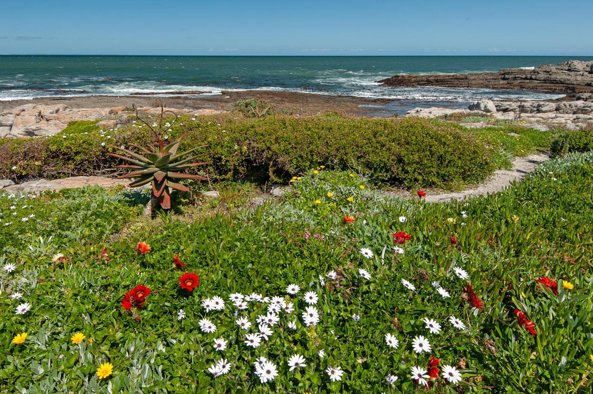 63 Whalerock Estate Apartment Hermanus Luaran gambar